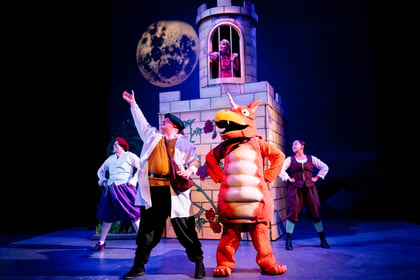 Zog and the Flying Doctors comes to the Theatre Royal Winchester