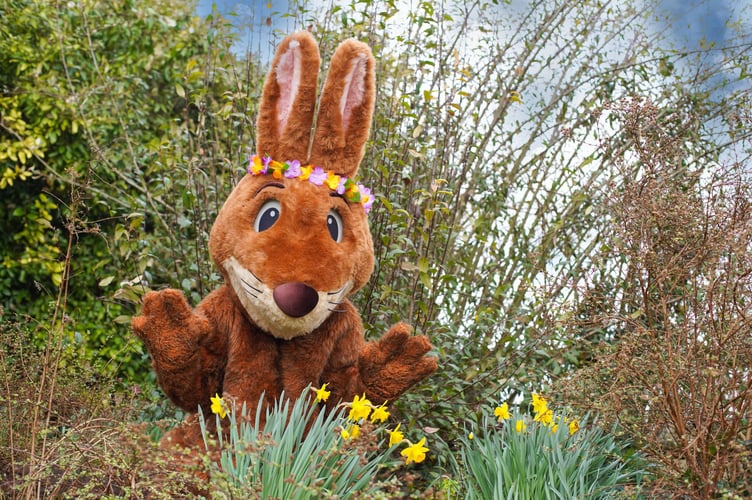 Easter Bunny, Marwell Zoo.