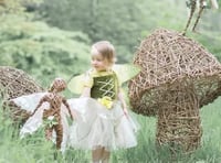 Be here dragons as fairy trail returns to grounds of popular estate