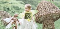 Be here dragons as fairy trail returns to grounds of popular estate