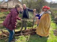 Unbelief-able response to tree planting event at Butser Ancient Farm