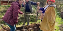 Unbelief-able response to tree planting event at Butser Ancient Farm