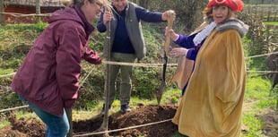 Unbelief-able response to tree planting event at Butser Ancient Farm