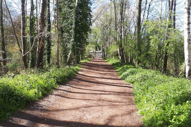 Liss Riverside Railway Walk