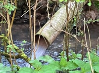 'Rishi should remember his Hampshire roots and protect our rivers...'