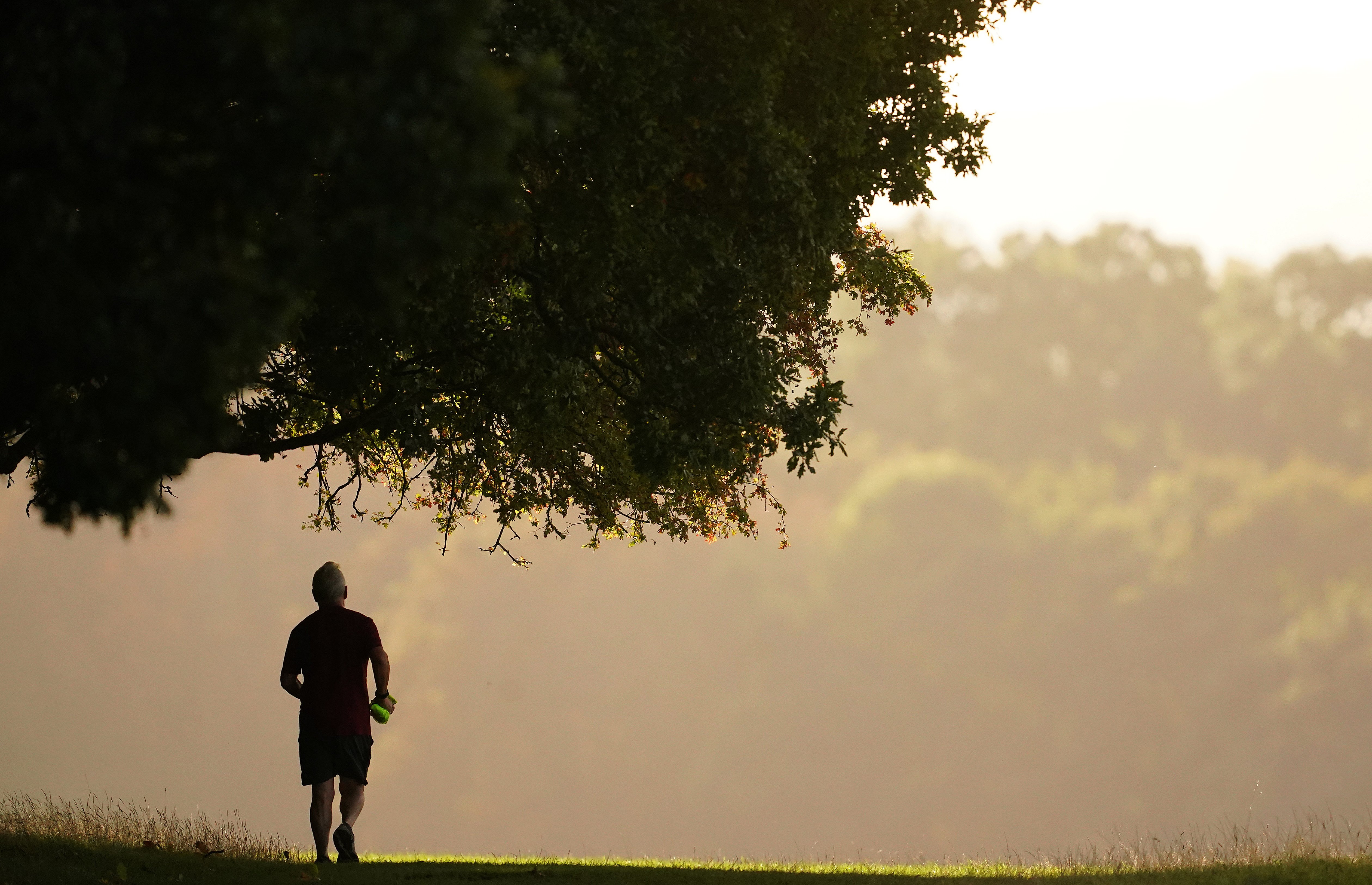 Adults in East Hampshire are more active than their neighbours ...