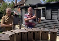 Men's shed are ticking the right boxes to save treasured bird