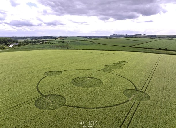 Crop Circle Wiltshire Lucy Pringle