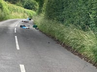 Fly-tippers leave trail of rubbish along Clanfield lane