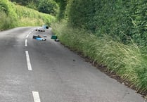 Fly-tippers leave trail of rubbish along Clanfield lane