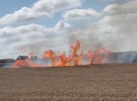 Fields of fire as crews battle blaze at Medstead farm