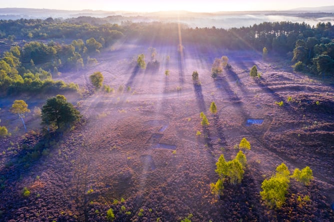 Stedham Common Aerial Picture PIC1