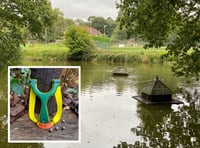 Catapult concerns as ducks found dead at village pond