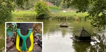 Catapult concerns as ducks found dead at village pond