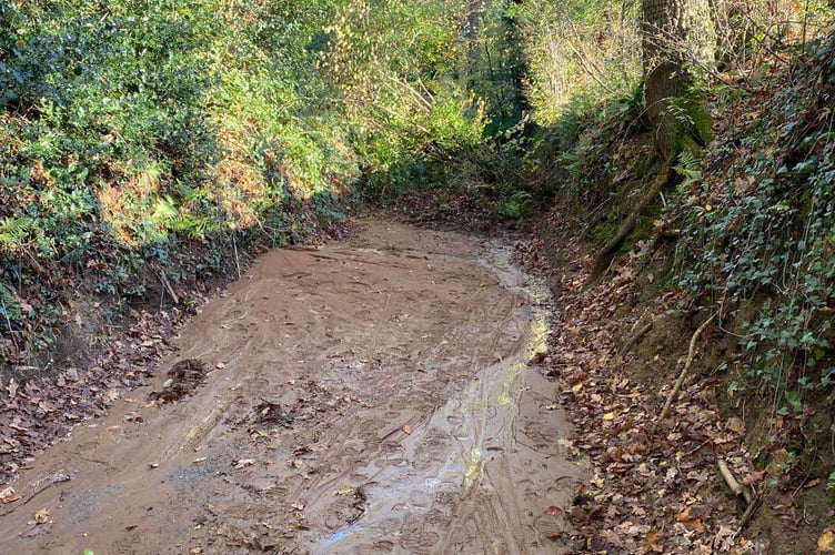 Tanners Lane Liss verges collapsed