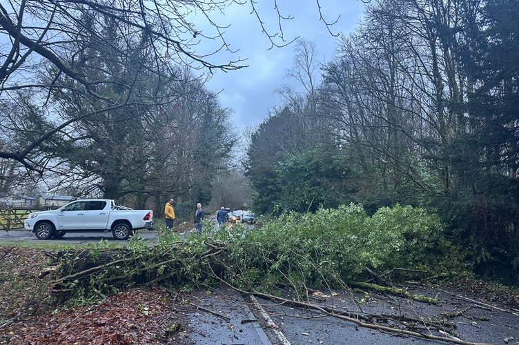 Tree down between Applegarth Farm entrance and Hammer Lane turn off on Headley Road