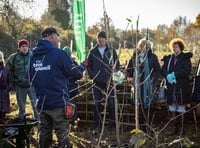 Community unites to plant over 900 trees for a greener future