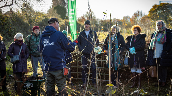 PeCAN tree festival Petersfield