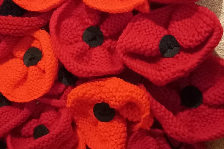 Petersfield Poppy project