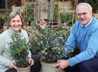 Squire’s Garden Centres unveils new botanical collection from Liss 